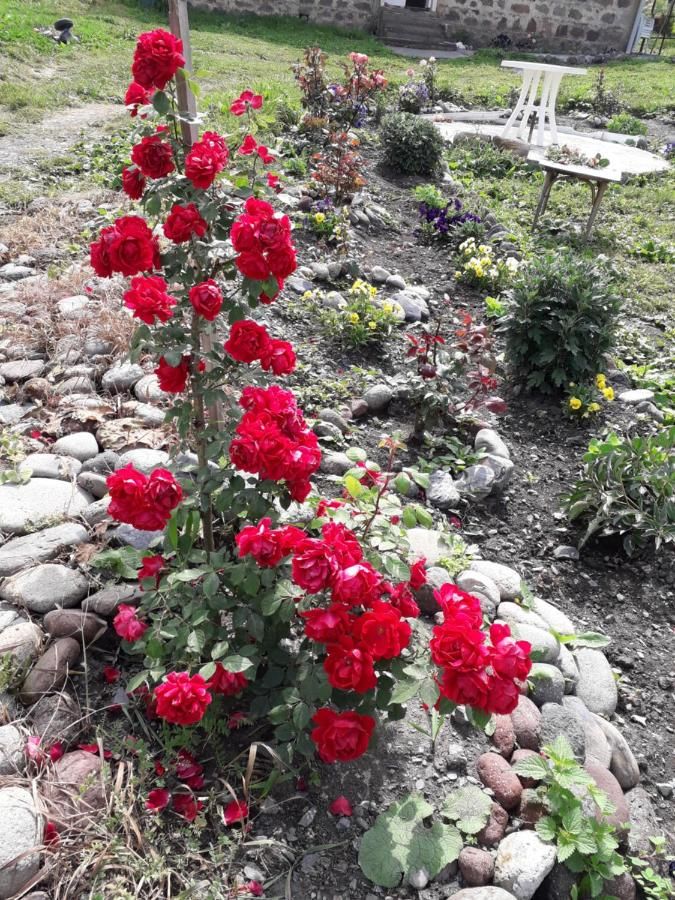 Гостевой дом Kazbegi Guest House Степанцминда-41